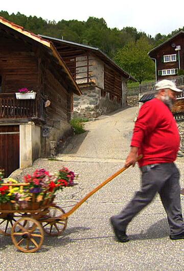 Mit einem blumengeschmückten Wägeli macht sich Fidel auf zu seiner Hofdame.