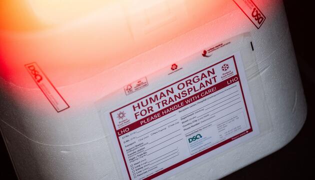 Illustration - Organspende