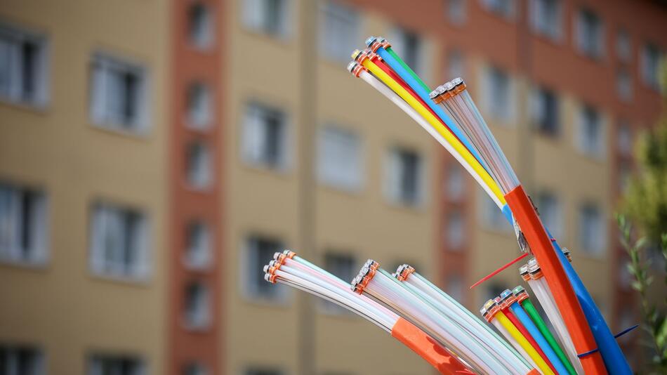 Glasfaser-Kabel ragen aus einem Schaltschrank heraus