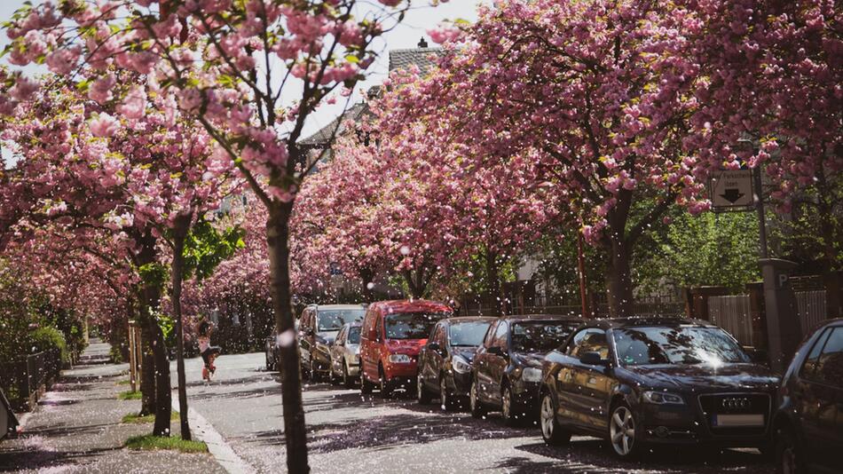 Parkende Autos in einer Strasse in Marburg