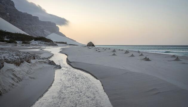 Jemen - Insel Sokotra