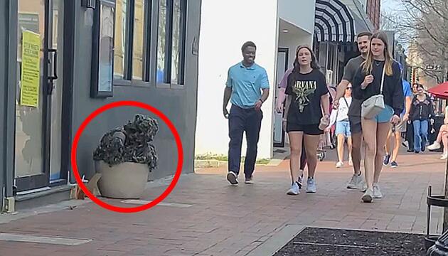 Getarnter Scherzkeks: „Pflanzenmann“ erschreckt ahnungslose Passanten
