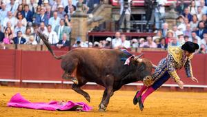 Stierkampf in der Maestranza in Sevilla