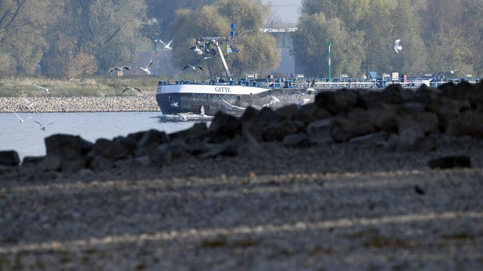 Niedrigwasser im Rhein lässt auch Tankstellen leerlaufen