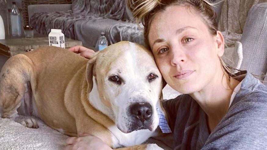 Kaley Cuoco, Hund, Make-up