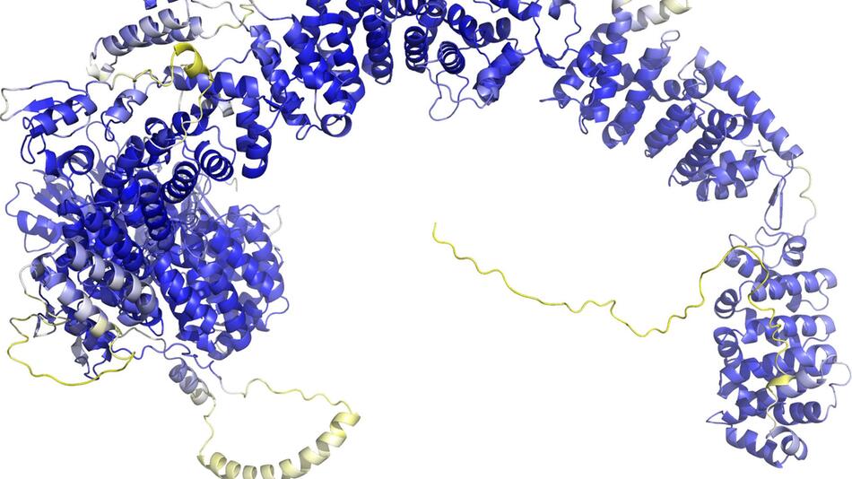 Protein DnaJ13