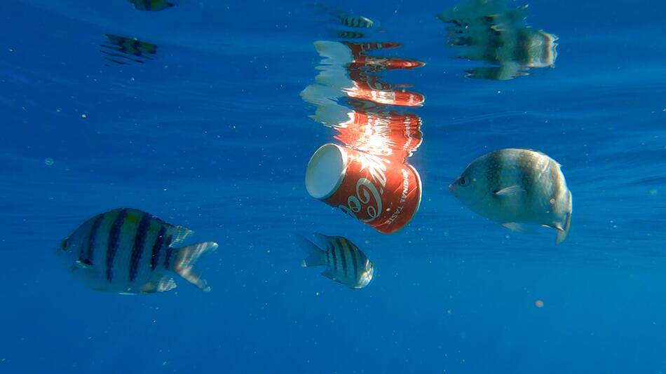 Coca-Cola erneut grösster Plastikverschmutzer der Welt