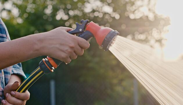 Wasser sparen im Garten – 7 einfache Tipps für heisse Tage