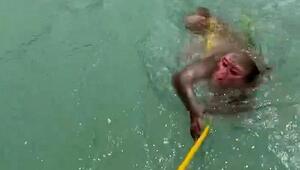 Völlig erschöpft: Raftingsportler retten Affen aus Stromschnellen