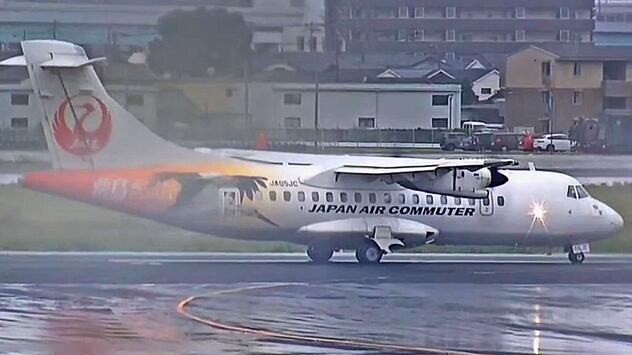 Blinder Passagier: Schlange legt japanischen Flug für fast zwei Tage lahm