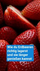 Wie du Erdbeeren richtig lagerst und länger geniessen kannst