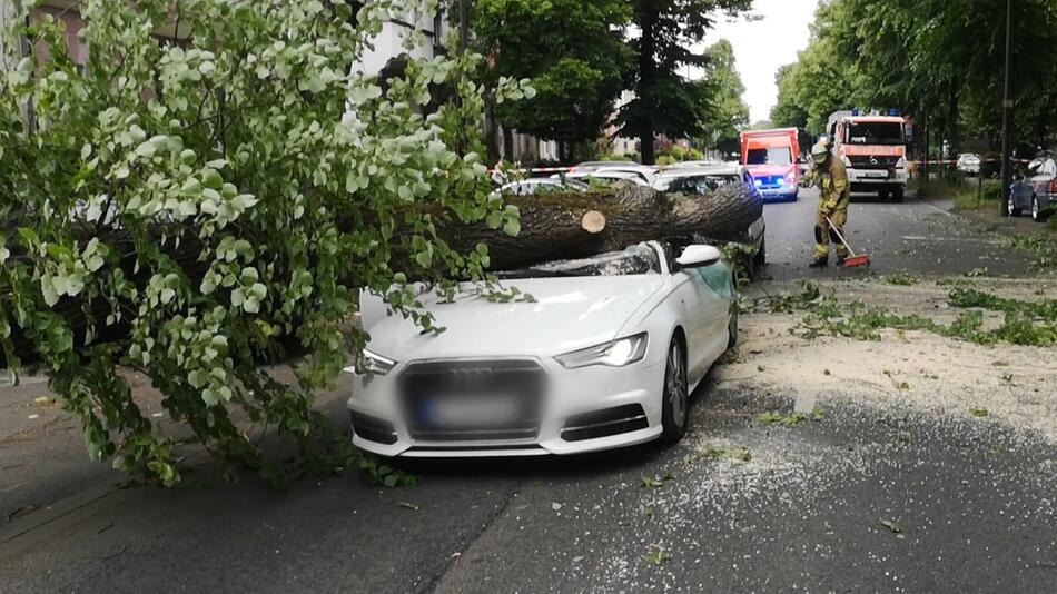 Rätselhafter Unfall in Düsseldorf: Baum kracht plötzlich auf Auto