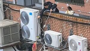 Held des Tages: Mann rettet gestrandete Katze an Hauswand