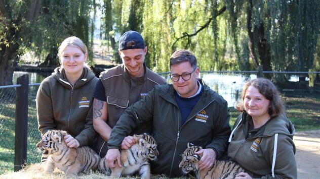 Tigerdrillinge im Tierpark Ströhen