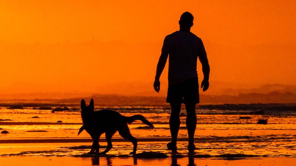 Hund und Mensch