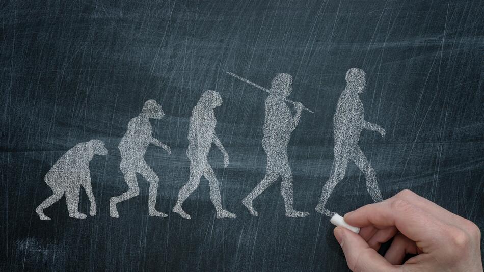 Evolution