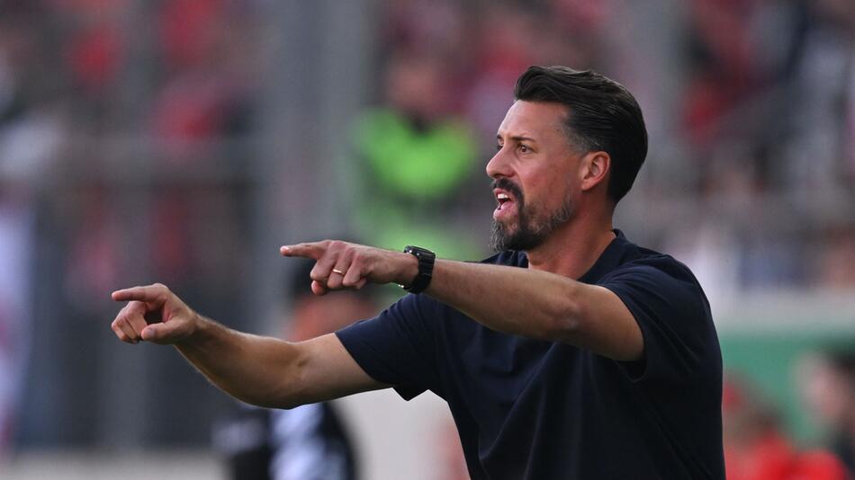 Sandro Wagner