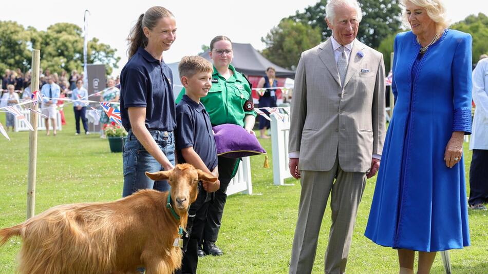 König Charles III., Königin Camilla und die Goldene Guernsey-Ziege Tamsin auf der Kanalinsel ...