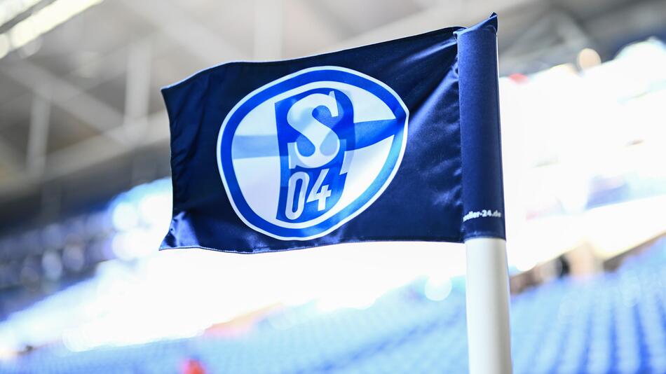 Eckfahne Schalke 04