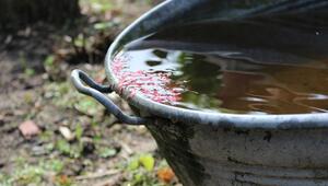 regenwasser sammeln
