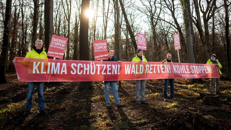 Hambacher Forst