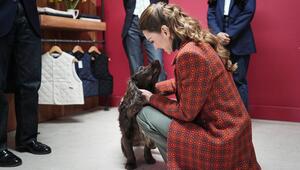 Prinzessin Kate hat in Wales Cocker Spaniel Barney getroffen.