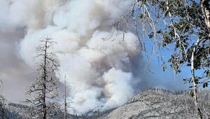 Waldbrände in den USA