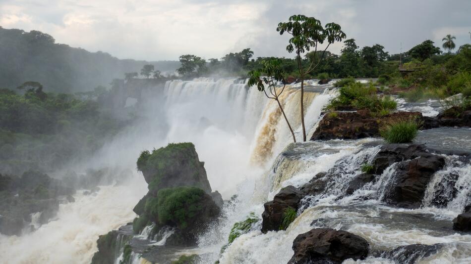 Regen liess die Iguazú-Wasserfälle ansteigen.