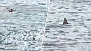 Aufregung am Strand: Grosser Hai nähert sich plötzlich Badenden
