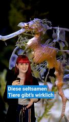Seltsame und faszinierende Tiere, die es wirklich gibt