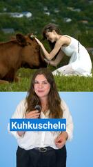 Kuhkuscheln wird zum weltweiten Trend