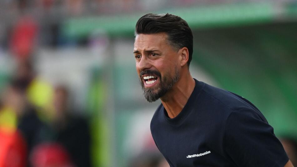 Hallescher FC - FC Augsburg