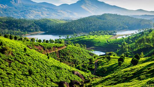 Landschaft von Kerala