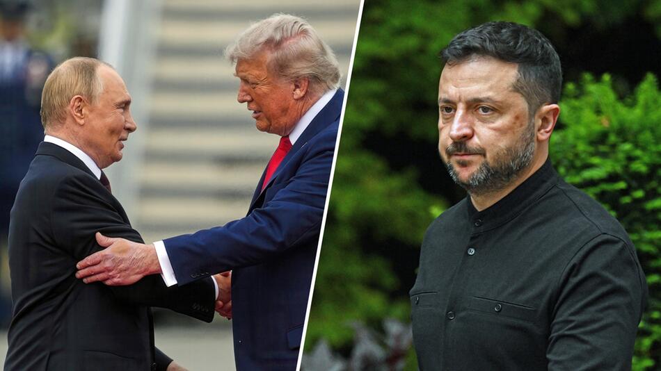 Putin, Trump und Selenskyj