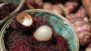 Rambutan (Nephelium lappaceum)