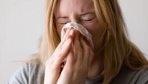 trockene Nase im Winter