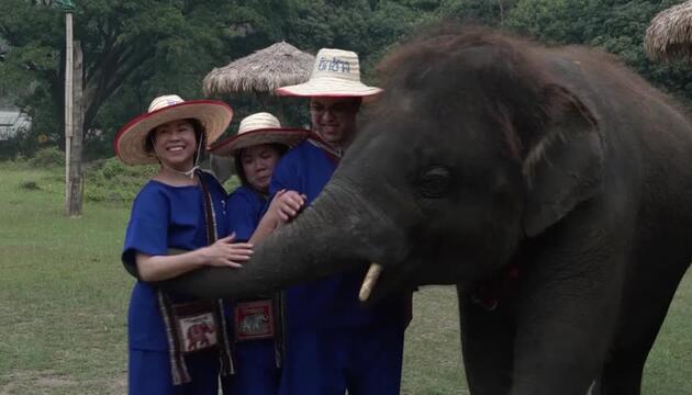 Iran-Krieg sorgt in Thailand für Tourismuskrise