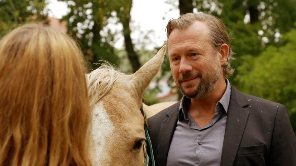 "Rote Rosen": Michael erbt von seinem Vater ein Reitpferd und zeigt es gerührt Carla.