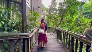 Griff nach dem Rock: Frecher Affe ist Touristin auf den Fersen