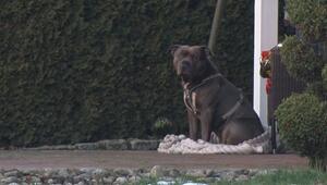 Spaziergängerin entdeckt Mann leblos in Graben