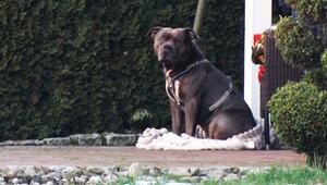 Spaziergängerin entdeckt Mann leblos in Graben