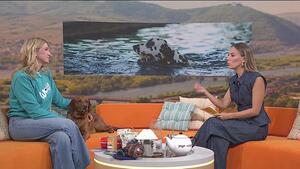 Urlaub mit dem Hund? Expertin gibt Tipps 