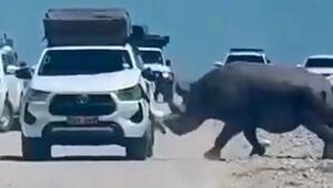 Horn gegen Blech: Nashorn rammt Touristenauto in Namibia