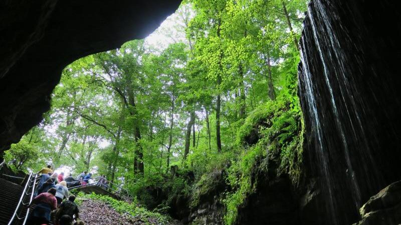 Eingang zur Mammoth Cave