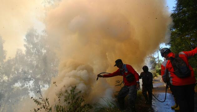 Waldbrand in Indonesien
