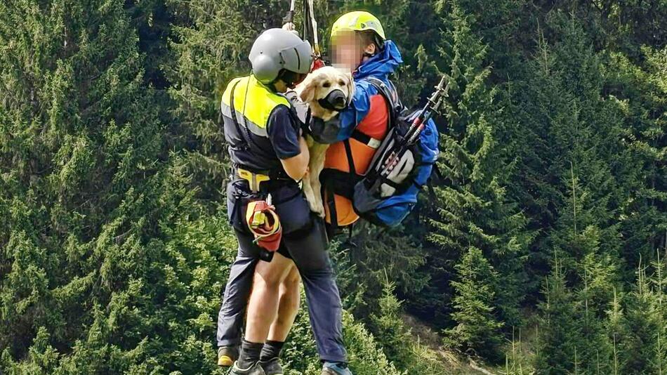 Hündin per Hubschrauber aus steilem Gelände geborgen