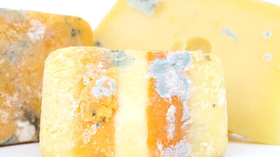 käse schimmelt