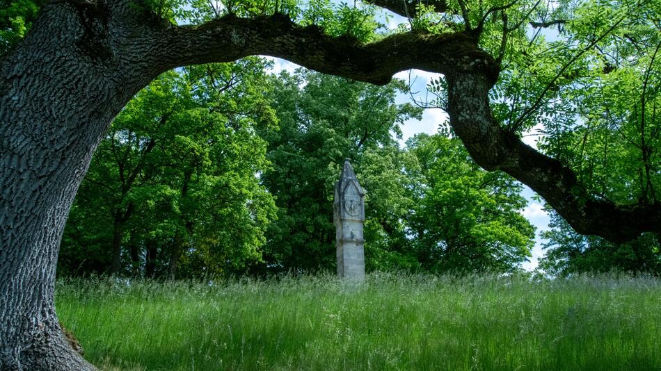 Klimaschäden in historischen Parkanlagen