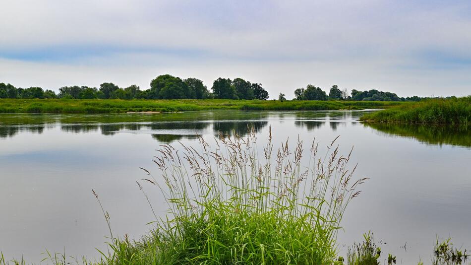 Grenzfluss Oder