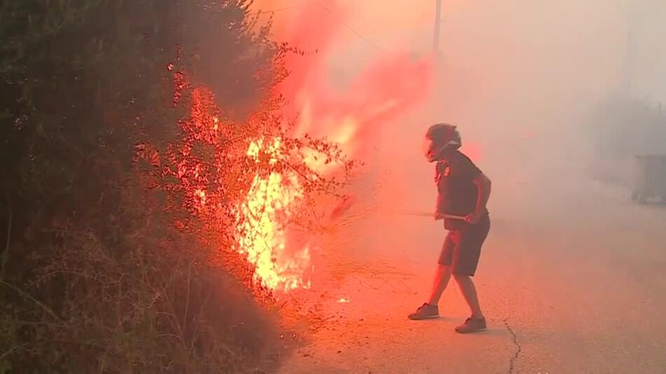Tote bei Waldbränden in Südeuropa - Feuer wüten weiter